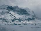 images/homepage/top-1/thumb2.jpg